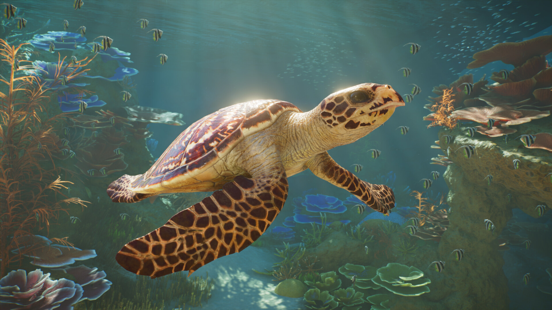 Planet Zoo 2 Game media